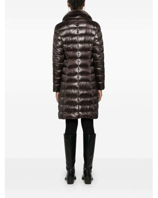 Herno Black Coats