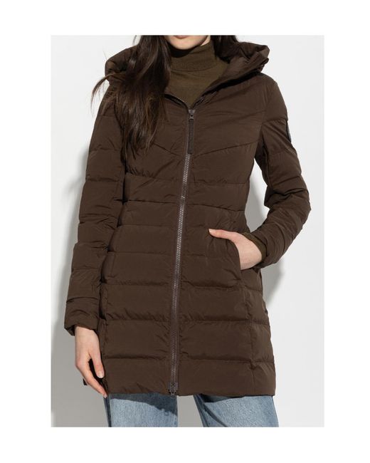 Canada Goose Brown Quilted Jacket "Clair"