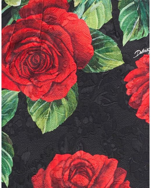 Dolce & Gabbana Red Mini Skirts