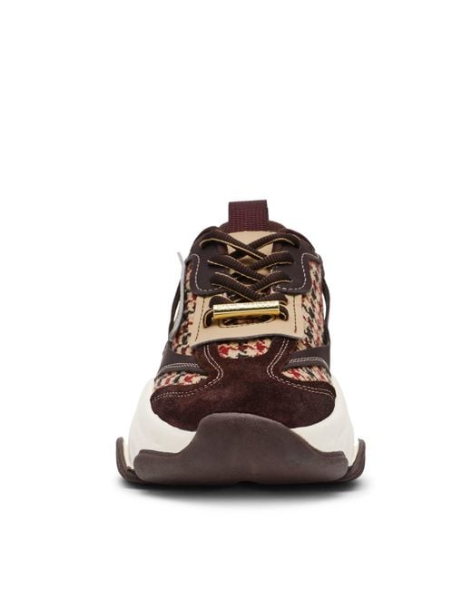 Steve Madden Brown Color Block Casual Shoes