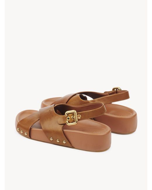 Chloé Brown Chloé Mae Buckle Detailed Sandals