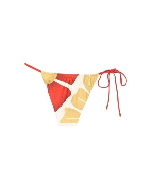 Sir Pink Thin Rope Bikini Bottoms