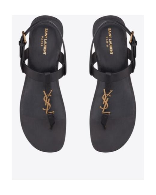 Saint Laurent Brown Cassandra Logo Plaque Sandals for men