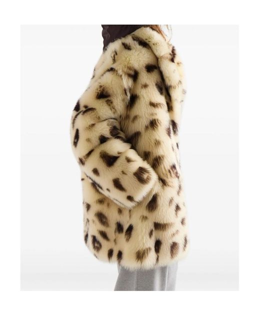 Prada Natural Neutrals Coats