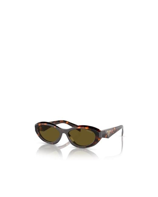 Prada Multicolor Eyewear Cat-Eye Sunglasses