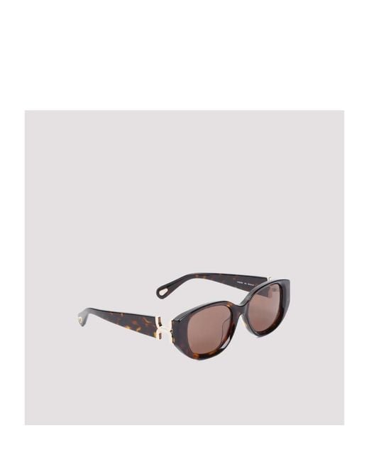 Chloé Multicolor Chloé Eyewear Oval-Frame Sunglasses