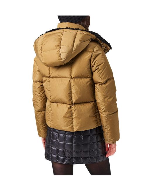 Moncler Brown Simple Down Jacket