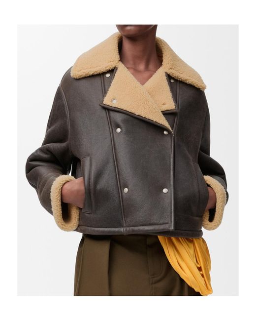 Loewe Black Jacket