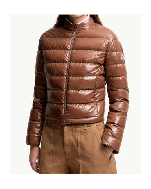 Moncler Brown Papillon Zip-Up Short Padded Jacket