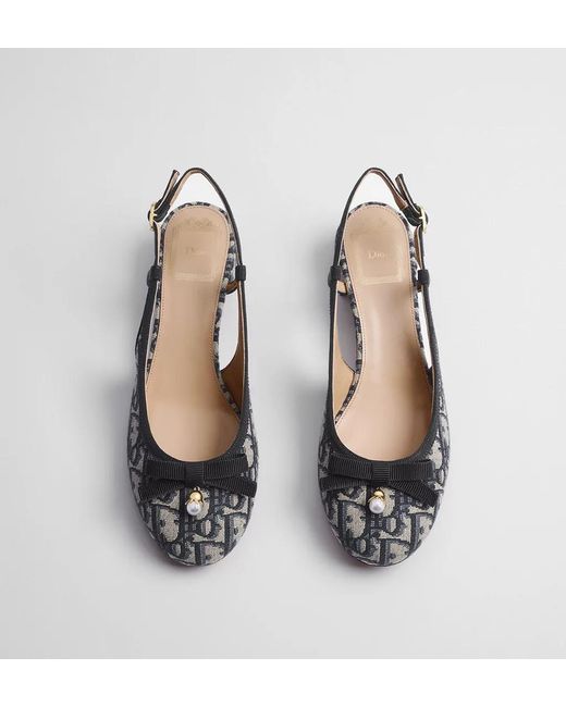 Dior Multicolor Ballet Slingback Pump