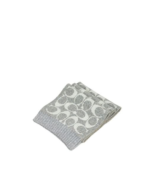 COACH Gray Ribbed Scarf for men