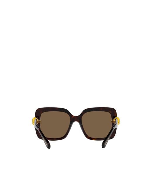 Swarovski Multicolor Square Frame Sunglasses