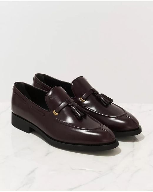 Tod's Brown Logo Love Shoes for men
