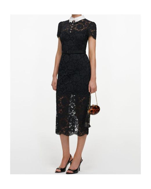 Self-Portrait Black Lace Contrast Collar Midi Dress