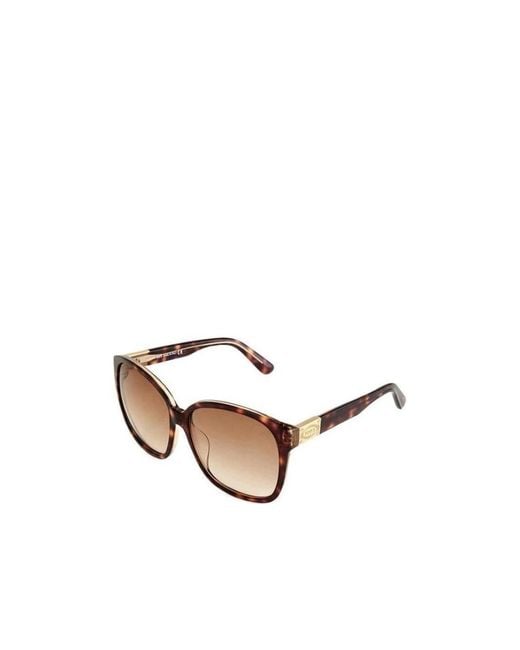Tod's White Round Sunglasses