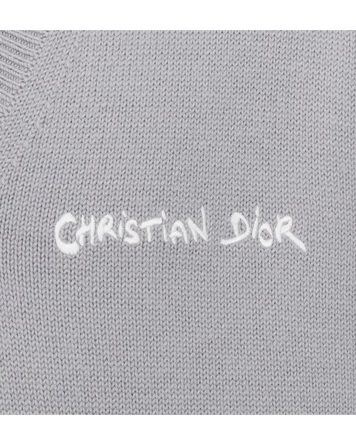 Dior Gray Logo Wool Vest for men