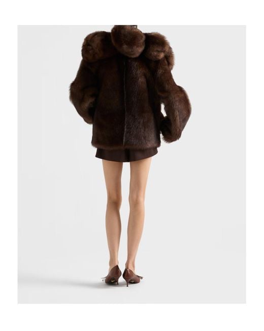 Prada Brown Long-Sleeved Coat