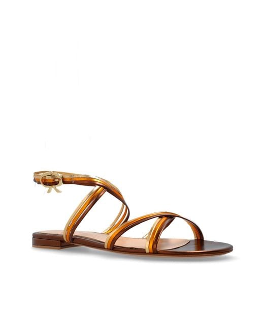 Gianvito Rossi Brown Ankle Strap Sandals