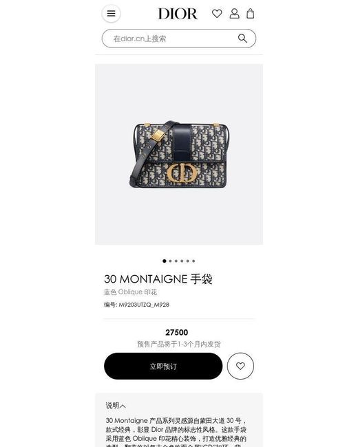 Dior Blue 30 Montaigne Bag