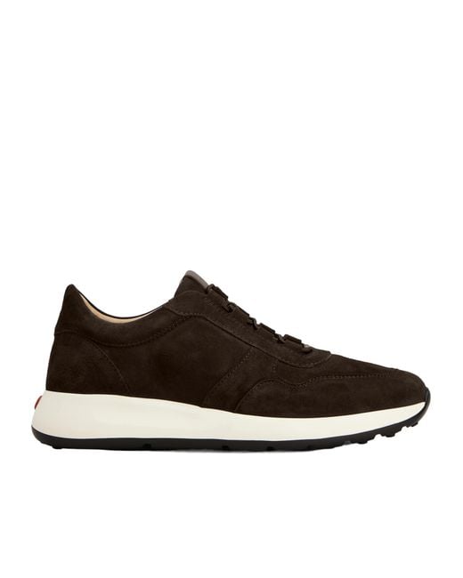 Tod's Brown Panelled Round Toe Sneakers for men