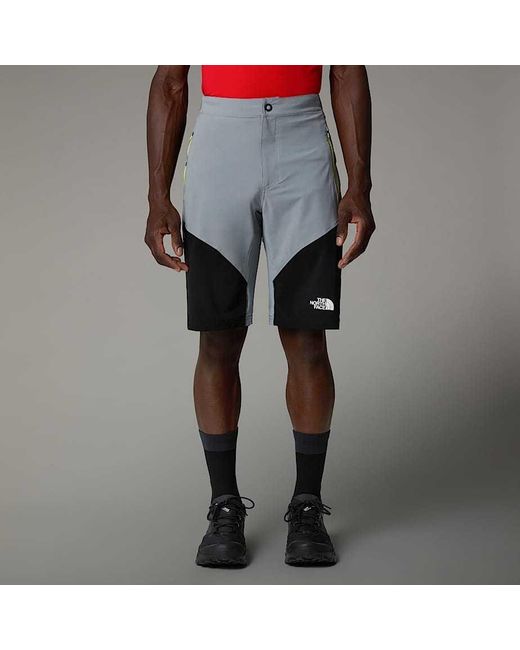 The North Face Gray Felik Shorts for men