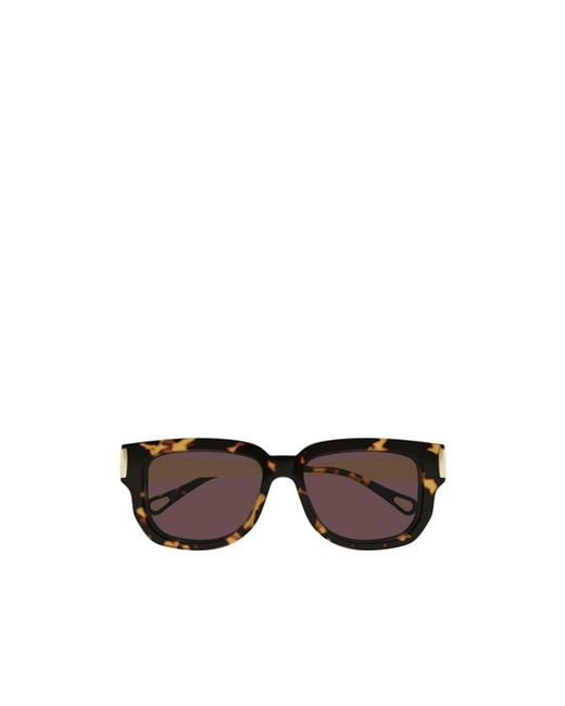 Chloé Multicolor Chloé Eyewear Square Frame Sunglasses