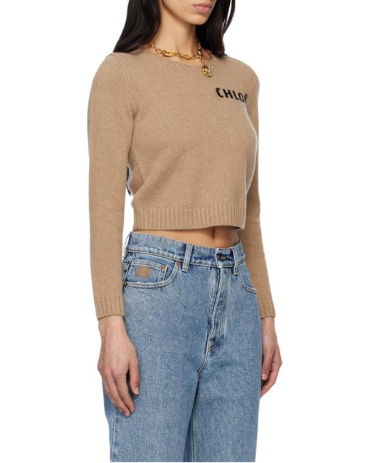 Chloé Multicolor Chloé Logo Detailed Cropped Sweater