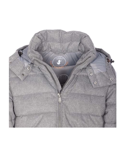 Save The Duck Gray Hooded Down Coat for men