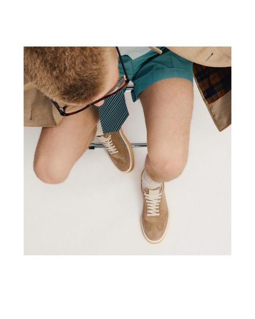 Scarosso Brown Mattia Sneakers for men