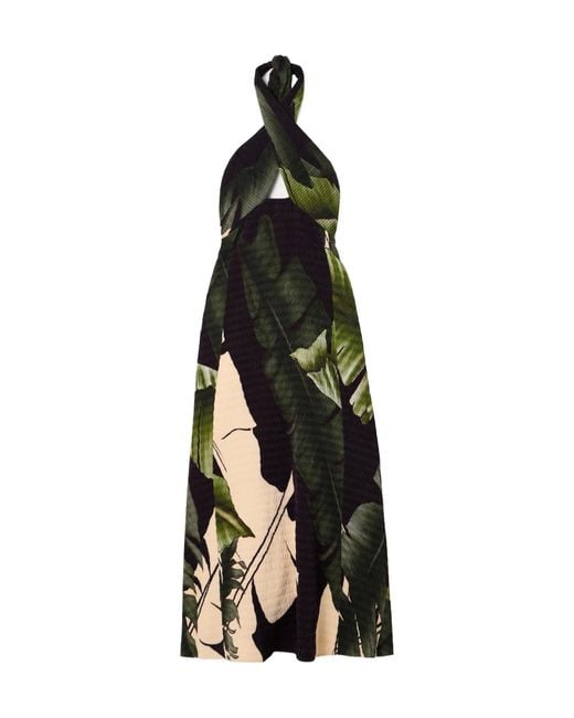 Johanna Ortiz Black Printed Plissé-Satin Halterneck Midi Dress
