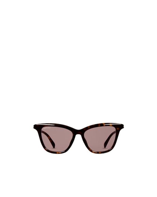 Gucci Multicolor Cat Eye Sunglasses