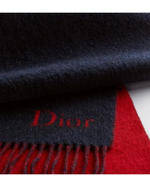 Dior Blue Double-Sided Scarf for men