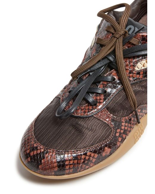 Miu Miu Brown Gymnasium Sneakers