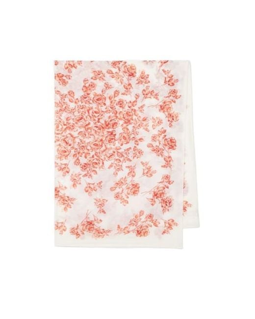 Magda Butrym Pink Floral Printed Cotton And Silk Scarf