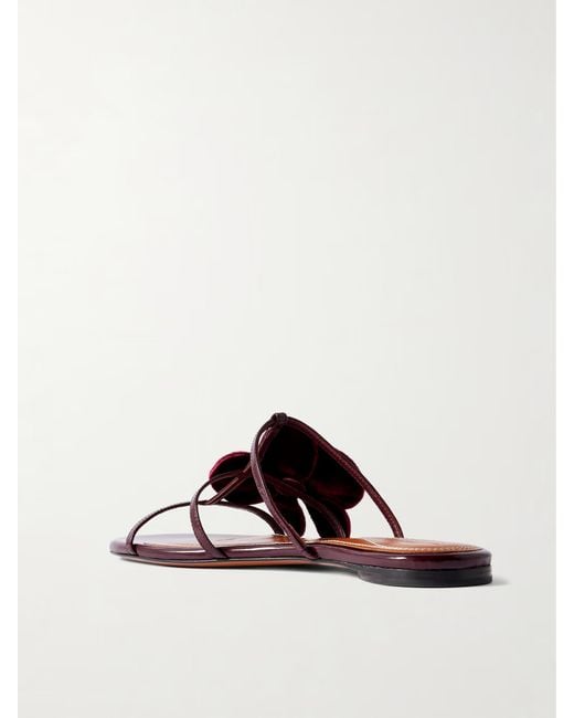 Zimmermann Brown Flower-Decorated Slippers