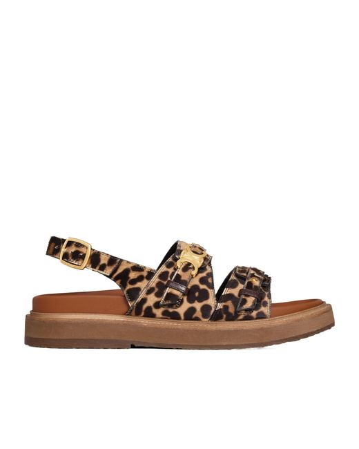 Céline Brown Tippi Triomphe Sandal
