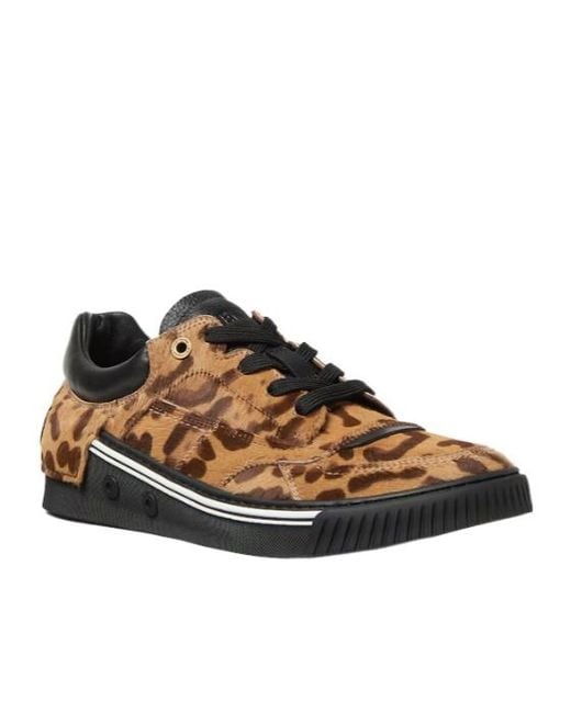 Fendi Brown Fender Trainers for men