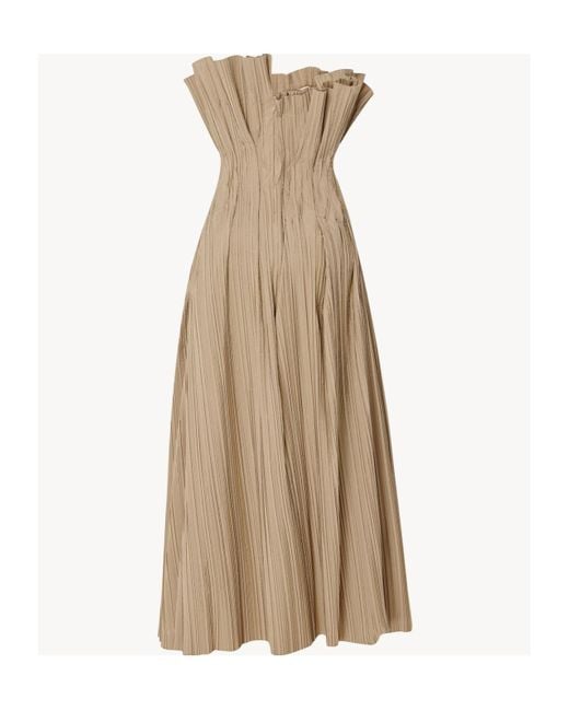 The Row Natural Strapless Dress