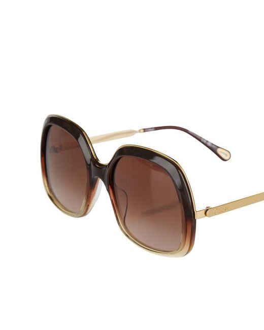 Chloé Brown Chloé Eyewear Oversized Square Sunglasses