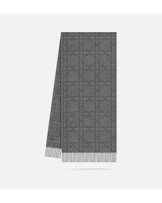 Dior Gray Cannage Scarf for men