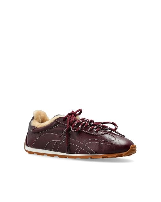 DSquared² Brown Lace-Up Sneakers