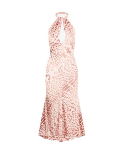 Roberto Cavalli Pink Jaguar Print Midi Dress