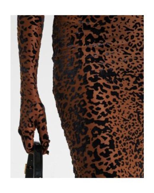 Alex Perry Brown Leopard-Print Corset Gown