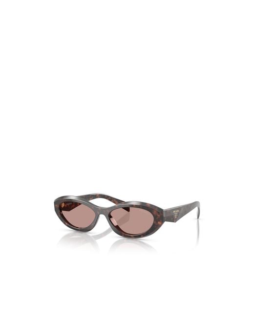 Prada Multicolor Eyewear Cat-Eye Sunglasses