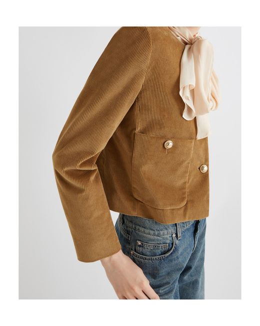 Marella Brown Velvet Boxy Jacket