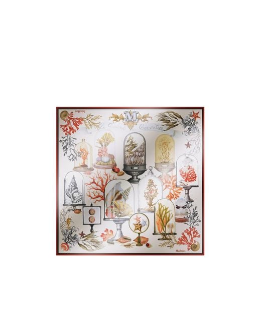 Max Mara White Le Cabinet Printed Scarf