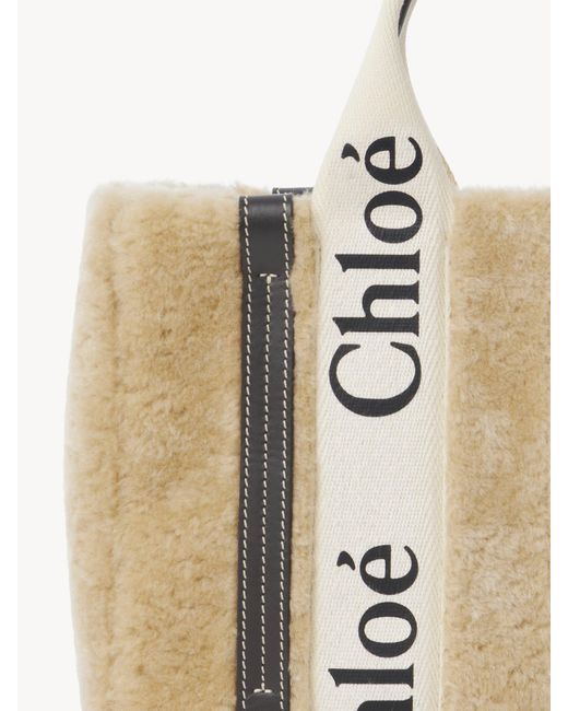 Chloé Metallic Chloé Small Woody Tote Bag