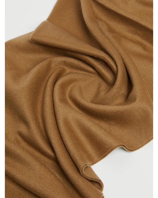 Max Mara Brown Cashmere Stole With Embroidery And Fringing