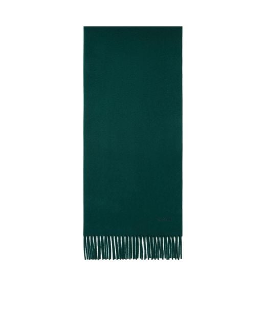 Max Mara Green Cashmere Stole With Embroidery And Fringing