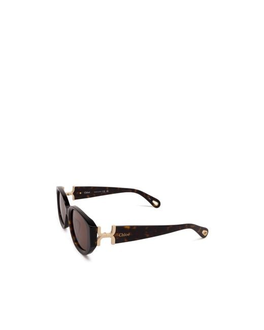Chloé Brown Chloé Eyewear Oval-Frame Sunglasses